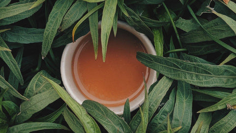 Tea Preparation - La Boheme Cafe - Pražírna výběrové kávy