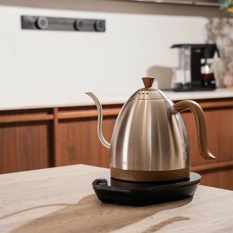 Brewista Artisan Gooseneck Srebrny czajnik 1 l