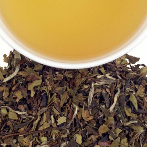 Vanilka & Grapefruit - La Boheme Cafe - Pražírna výběrové kávy